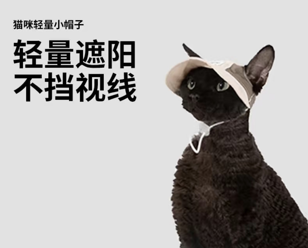 TWIIQU Airline-Approved Pet Carrier
